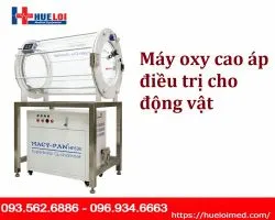 Buồng oxy cao áp dành cho động vật