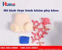 MÔ HÌNH THỰC HÀNH KHÁM PHỤ KHOA