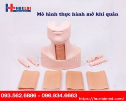 MÔ HÌNH THỰC HÀNH MỞ KHÍ QUẢN