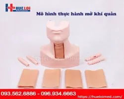 MÔ HÌNH THỰC HÀNH MỞ KHÍ QUẢN