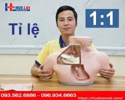 Mô hình thực hành đặt Catheter tĩnh mạch trung tâm