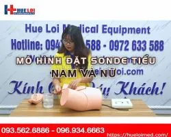 Mô hình đặt sonde tiểu và thụt tháo nam nữ