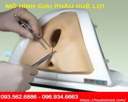 Mô hình thực tập khâu tầng sinh môn