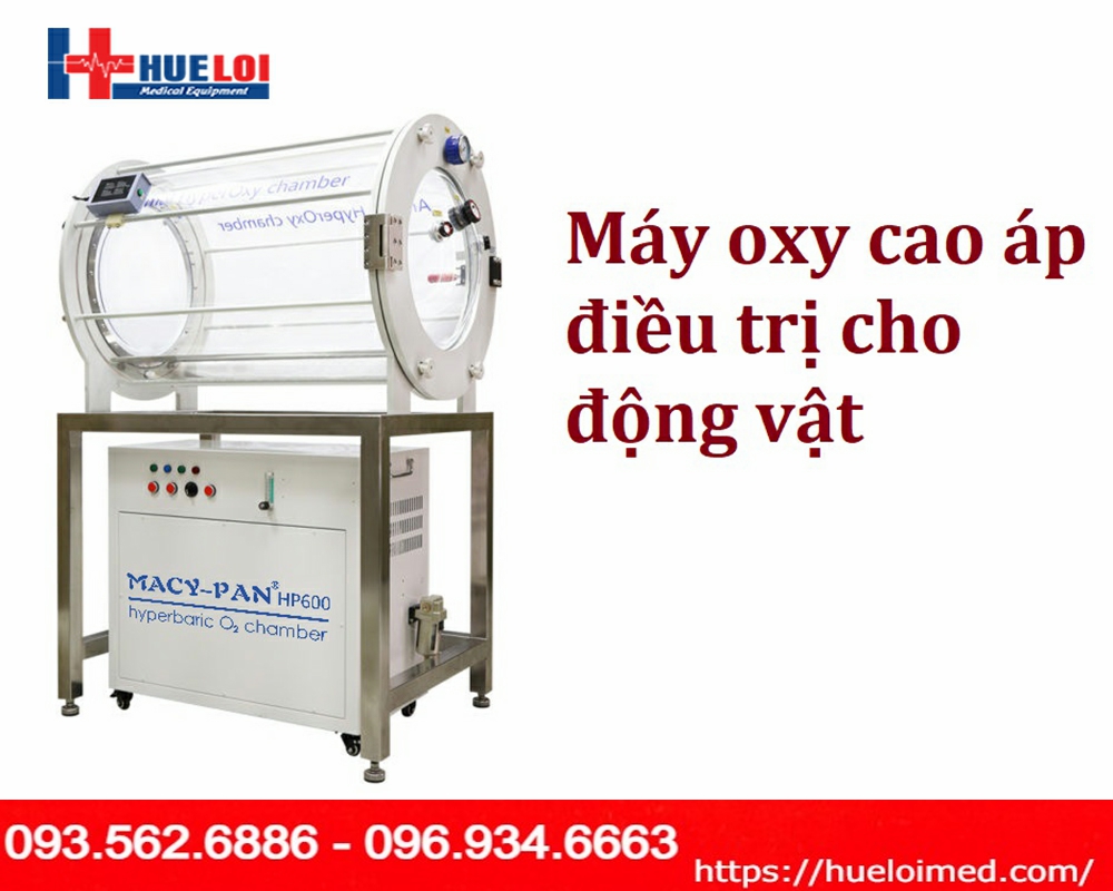 Buồng oxy cao áp loại đặc biệt dành riêng cho động vật