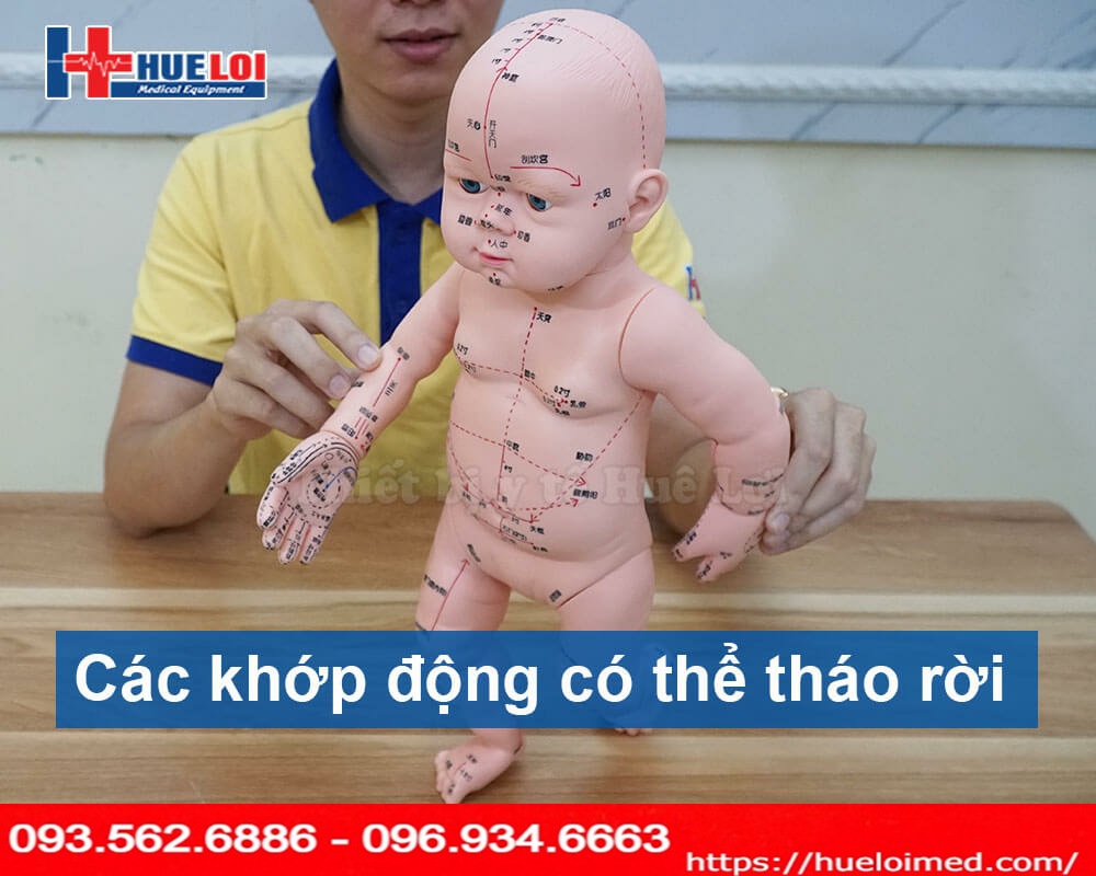 Mô hình thực hành châm cứu trên trẻ em