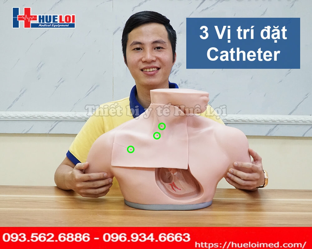 Mô hình thực hành đặt Catheter Tĩnh mạch