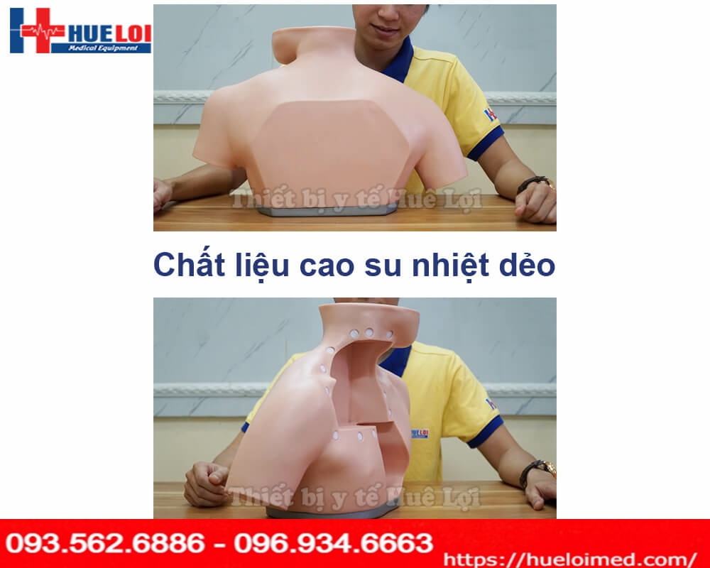 Mô hình thực hành đặt Catheter Tĩnh mạch