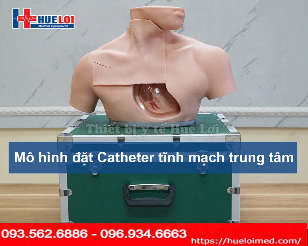 Mô hình thực hành đặt Catheter Tĩnh mạch