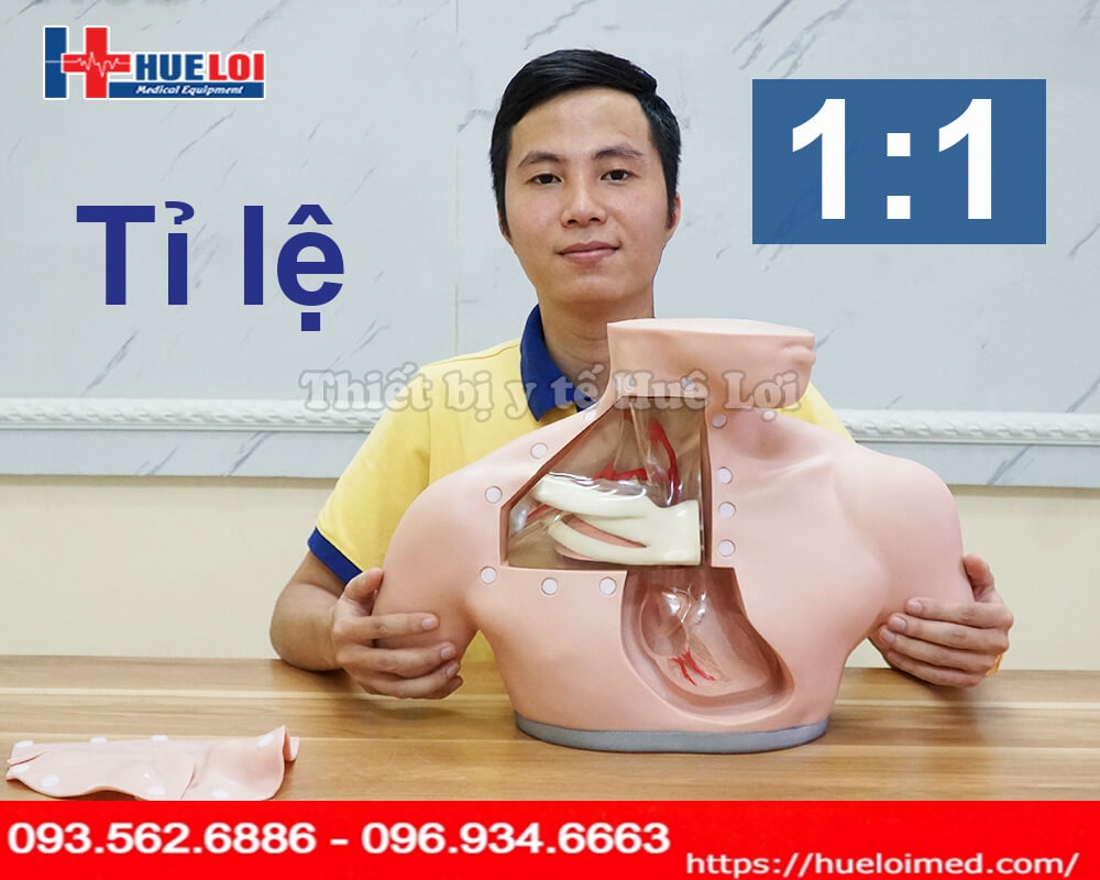 Mô hình thực hành đặt Catheter Tĩnh mạch