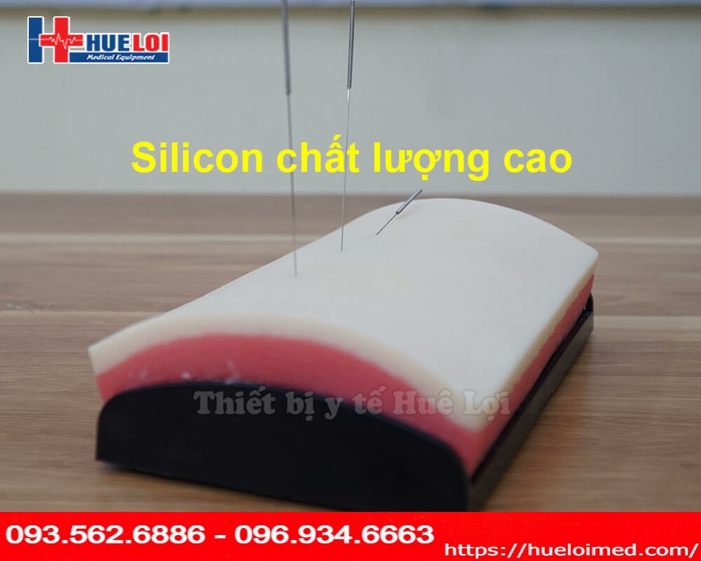 Mô hình da thực hành châm cứu