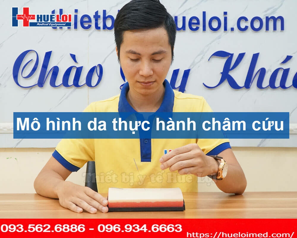 Mô hình da thực hành châm cứu