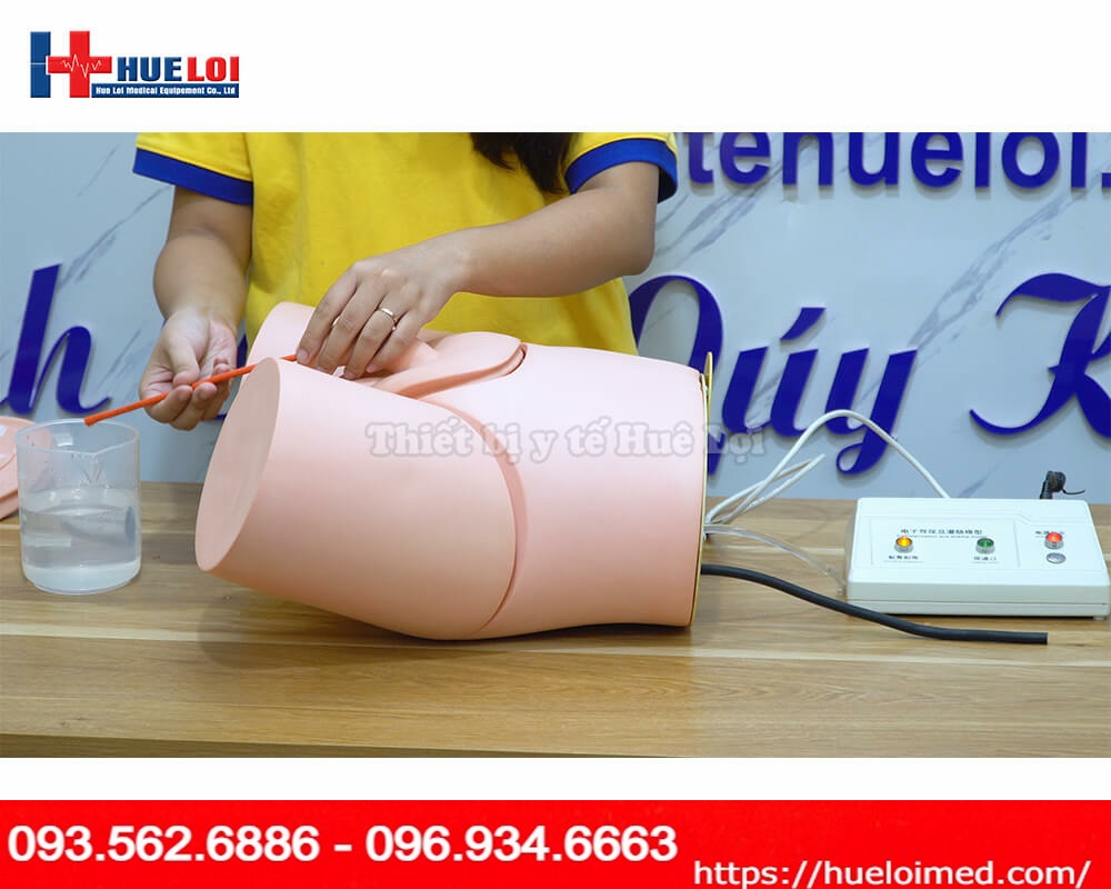 Mô hình đặt sonde tiểu và thụt tháo nam nữ