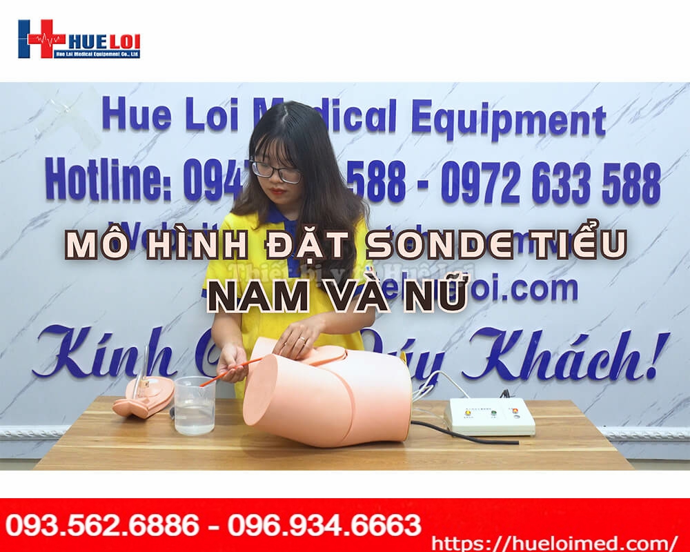 Mô hình đặt sonde tiểu và thụt tháo nam nữ