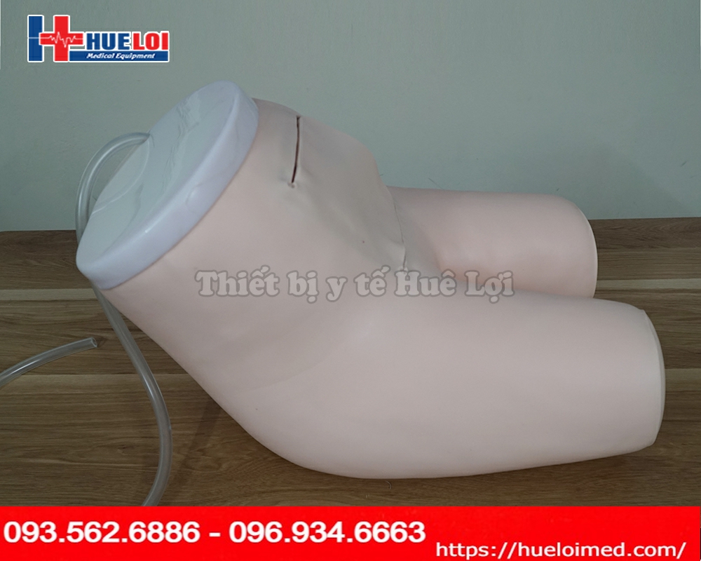 Mô hình thực hành thụt tháo cho bệnh nhân