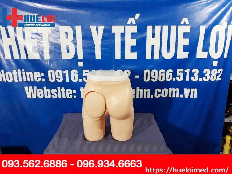 Mô hình tiêm bắp sâu (Tiêm mông)