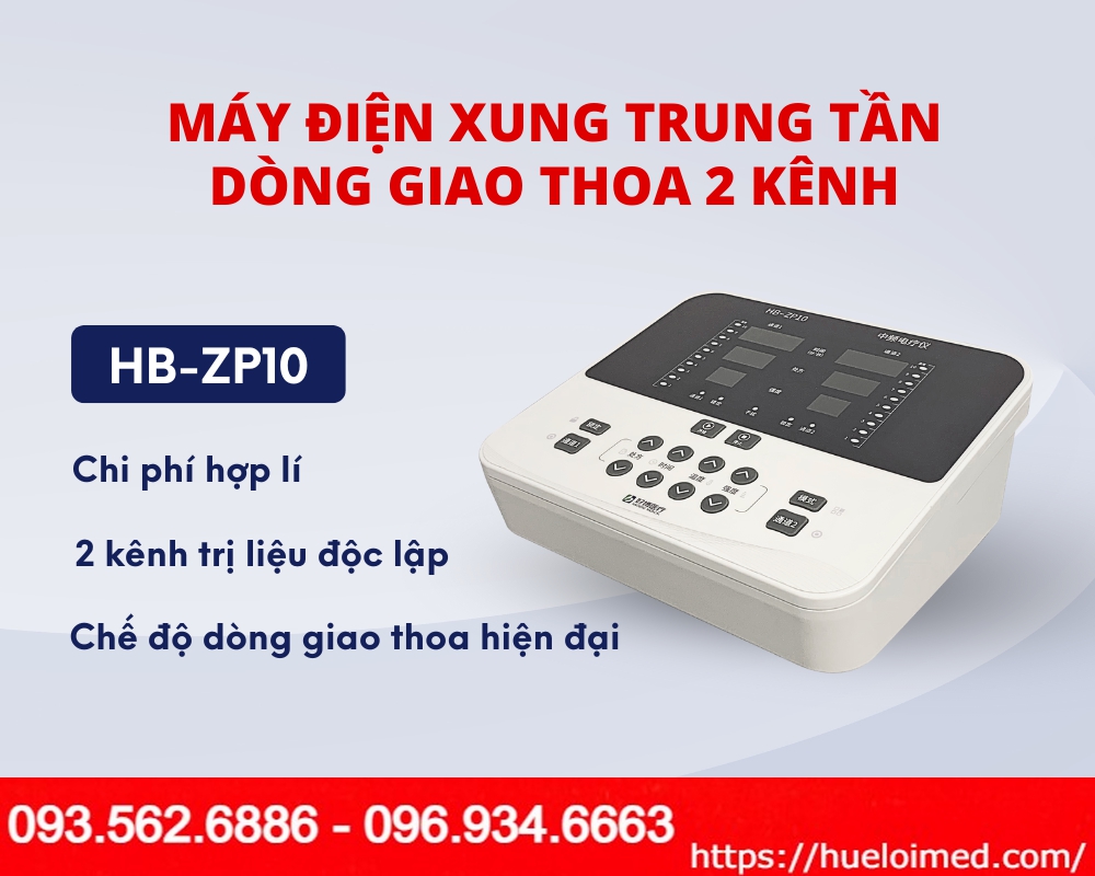 Máy Điện Xung Trung Tần HB-ZP10