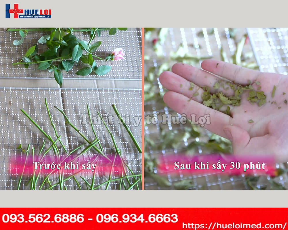 thành phẩm của máy sấy